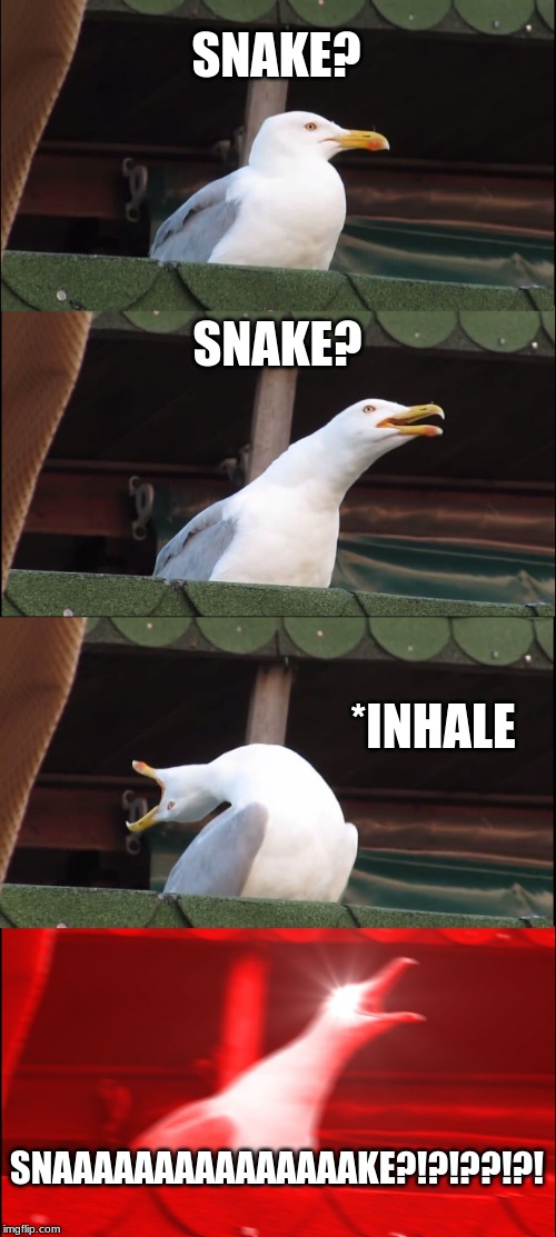 Inhaling Seagull | SNAKE? SNAKE? *INHALE; SNAAAAAAAAAAAAAAAKE?!?!??!?! | image tagged in memes,inhaling seagull | made w/ Imgflip meme maker