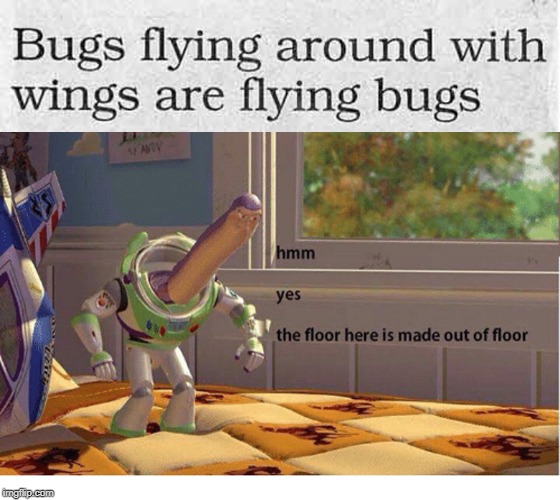 Hmm, yes | image tagged in bugs,the floor is | made w/ Imgflip meme maker