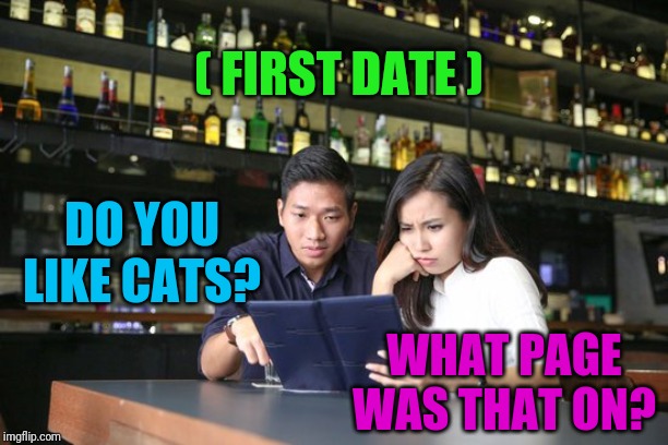 Those icebreaker questions |  ( FIRST DATE ); DO YOU LIKE CATS? WHAT PAGE WAS THAT ON? | image tagged in first date,getting to know you,wait,what | made w/ Imgflip meme maker