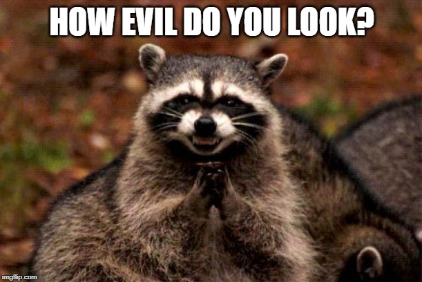 Evil Plotting Raccoon Meme | HOW EVIL DO YOU LOOK? | image tagged in memes,evil plotting raccoon | made w/ Imgflip meme maker