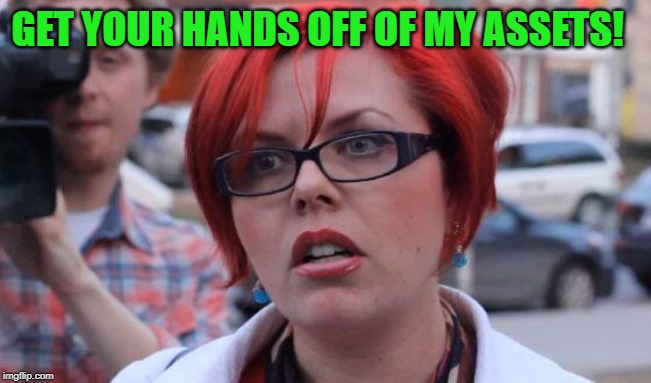 Angry Feminist | GET YOUR HANDS OFF OF MY ASSETS! | image tagged in angry feminist | made w/ Imgflip meme maker