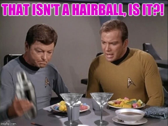 Star Trek dinner | THAT ISN'T A HAIRBALL, IS IT?! | image tagged in star trek dinner | made w/ Imgflip meme maker