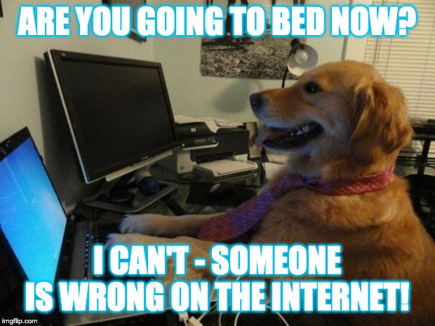 Dog behind a computer | ARE YOU GOING TO BED NOW? I CAN'T - SOMEONE IS WRONG ON THE INTERNET! | image tagged in dog behind a computer | made w/ Imgflip meme maker