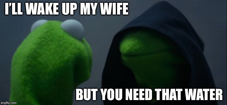 Evil Kermit | I’LL WAKE UP MY WIFE; BUT YOU NEED THAT WATER | image tagged in memes,evil kermit | made w/ Imgflip meme maker