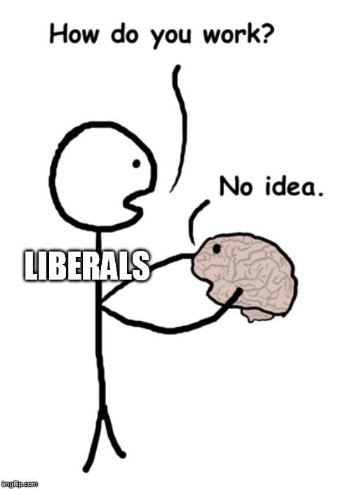 libs brains | LIBERALS | image tagged in liberals,libtards,leftists | made w/ Imgflip meme maker