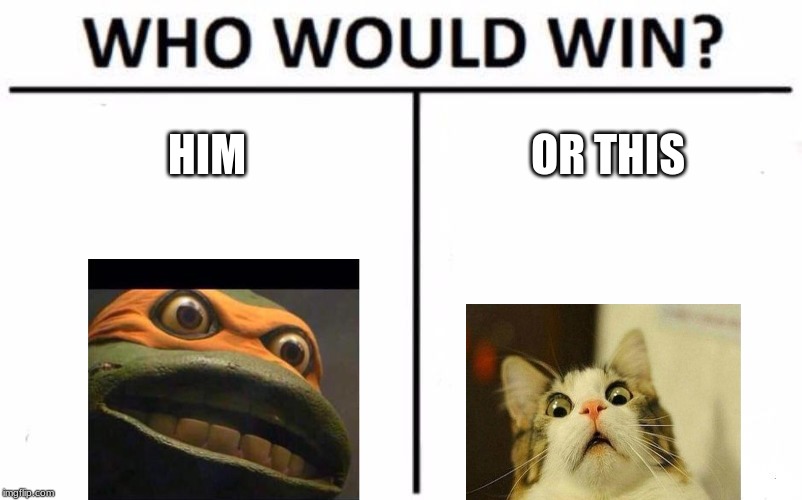 Who Would Win? Meme | HIM; OR THIS | image tagged in memes,who would win | made w/ Imgflip meme maker