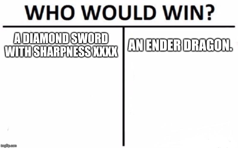 Who Would Win? | A DIAMOND SWORD WITH SHARPNESS XXXX; AN ENDER DRAGON. | image tagged in memes,who would win | made w/ Imgflip meme maker