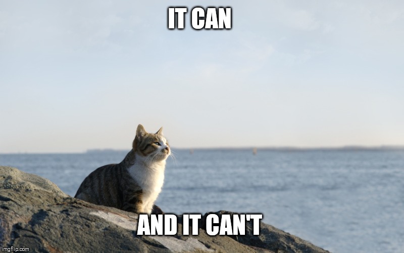 Deep Thinking Cat | IT CAN AND IT CAN'T | image tagged in deep thinking cat | made w/ Imgflip meme maker