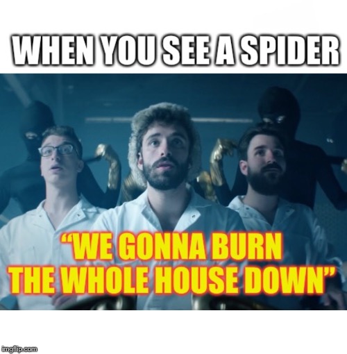 When you see a spider | image tagged in spider | made w/ Imgflip meme maker