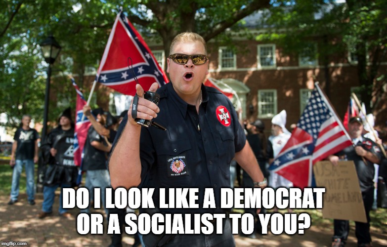 When republicans say the shooters were lliberal democrats. | DO I LOOK LIKE A DEMOCRAT OR A SOCIALIST TO YOU? | image tagged in democrats | made w/ Imgflip meme maker