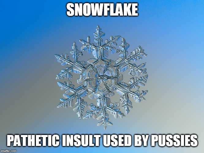 snowflake | SNOWFLAKE; PATHETIC INSULT USED BY PUSSIES | image tagged in snowflake,pathetic | made w/ Imgflip meme maker
