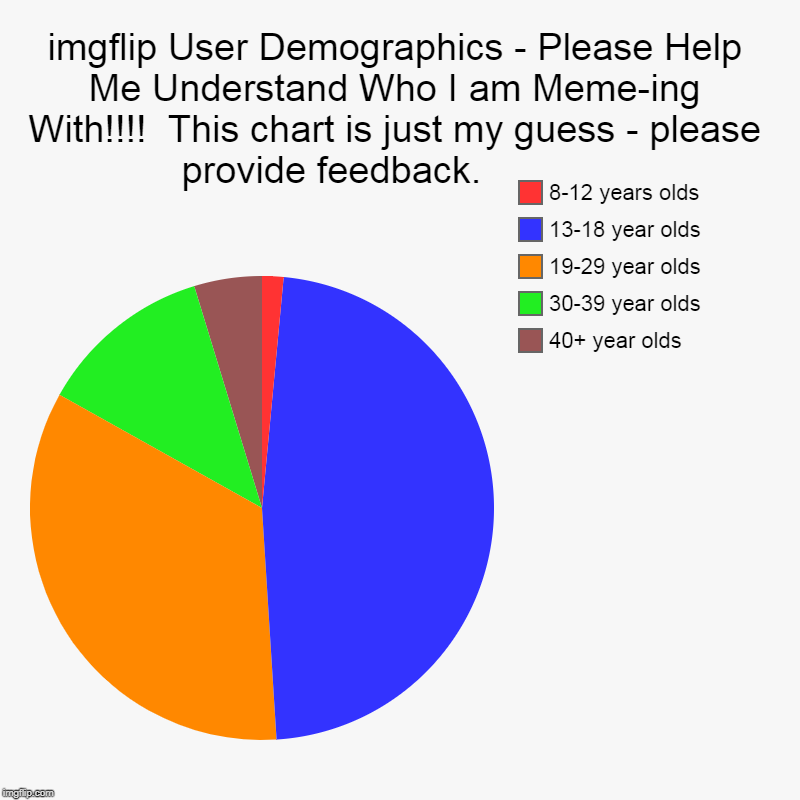 imgflip User Demographics - Please Help Me Understand Who I am Meme-ing With!!!!  This chart is just my guess - please provide feedback.     | image tagged in charts,pie charts | made w/ Imgflip chart maker