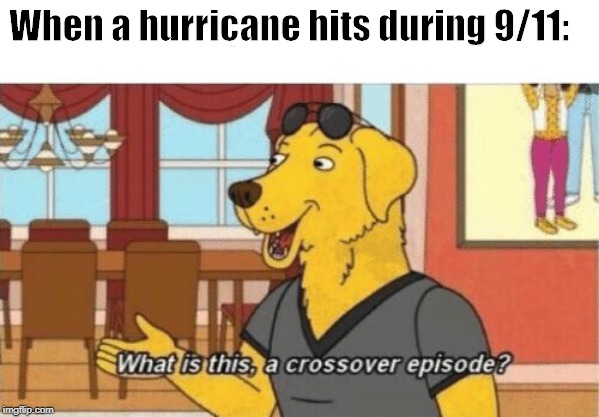 Crossover Dog | When a hurricane hits during 9/11: | image tagged in crossover dog | made w/ Imgflip meme maker