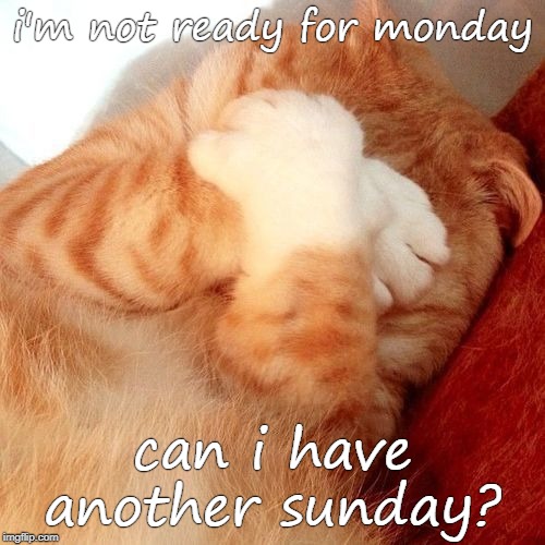 i'm not ready for monday; can i have another sunday? | made w/ Imgflip meme maker