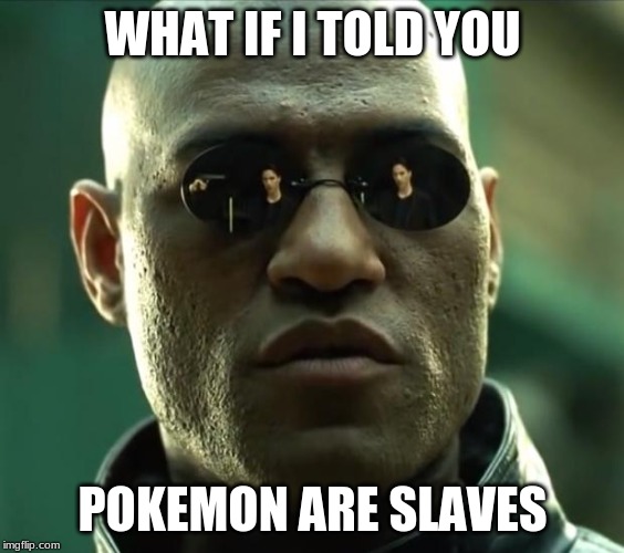 Oldest meme in MSMG. prove me wrong | WHAT IF I TOLD YOU; POKEMON ARE SLAVES | image tagged in morpheus | made w/ Imgflip meme maker