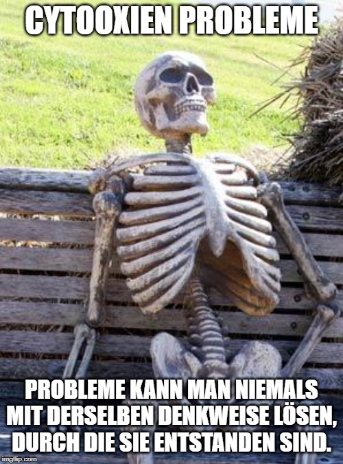 Waiting Skeleton Meme | CYTOOXIEN PROBLEME; PROBLEME KANN MAN NIEMALS MIT DERSELBEN DENKWEISE LÖSEN, DURCH DIE SIE ENTSTANDEN SIND. | image tagged in memes,waiting skeleton | made w/ Imgflip meme maker