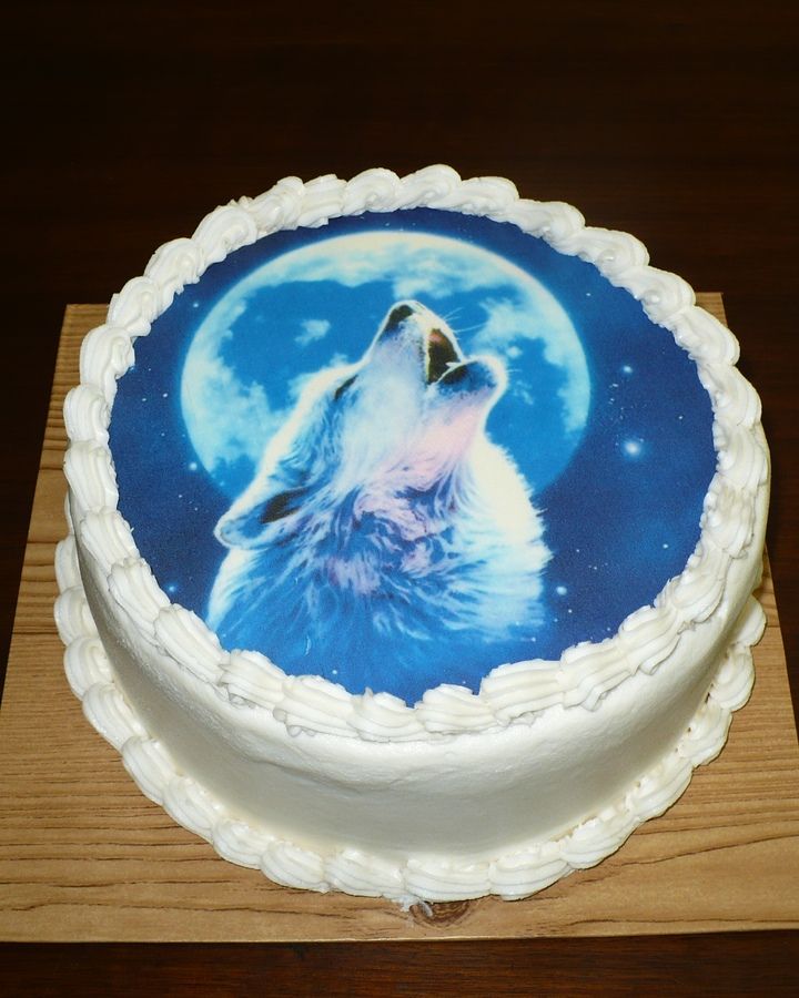 Wolf Cake Blank Meme Template