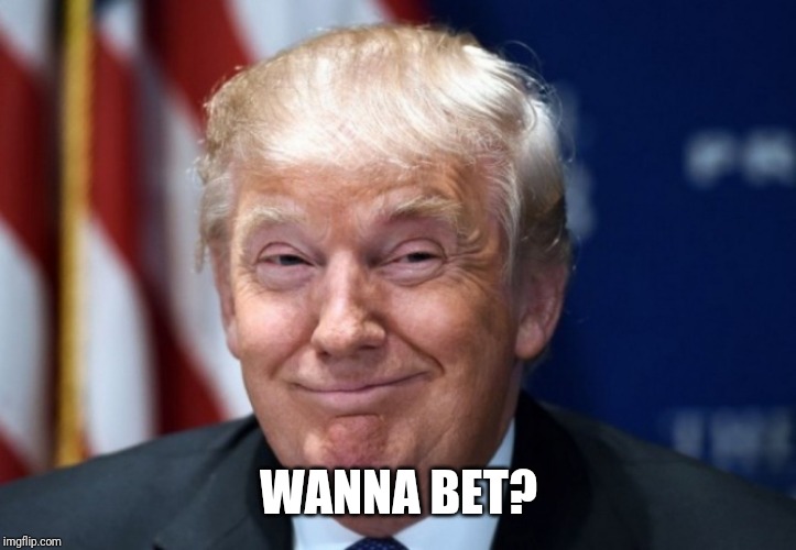 Donald Trump Smiles | WANNA BET? | image tagged in donald trump smiles | made w/ Imgflip meme maker