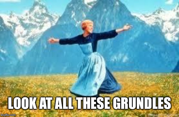 Look At All These Meme | LOOK AT ALL THESE GRUNDLES | image tagged in memes,look at all these | made w/ Imgflip meme maker