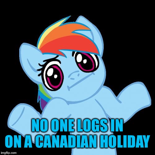 Pony Shrugs Meme | NO ONE LOGS IN ON A CANADIAN HOLIDAY | image tagged in memes,pony shrugs | made w/ Imgflip meme maker