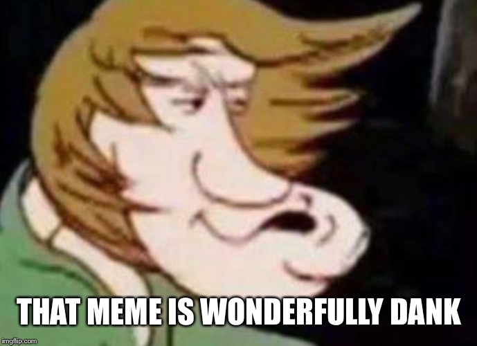 Dank Shaggy | THAT MEME IS WONDERFULLY DANK | image tagged in dank shaggy | made w/ Imgflip meme maker