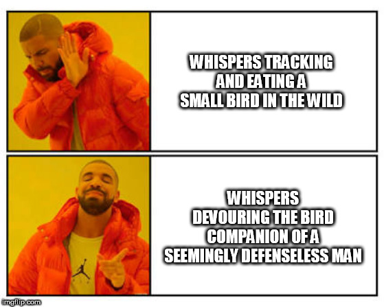 No - Yes | WHISPERS TRACKING AND EATING A SMALL BIRD IN THE WILD; WHISPERS DEVOURING THE BIRD COMPANION OF A SEEMINGLY DEFENSELESS MAN | image tagged in no - yes | made w/ Imgflip meme maker