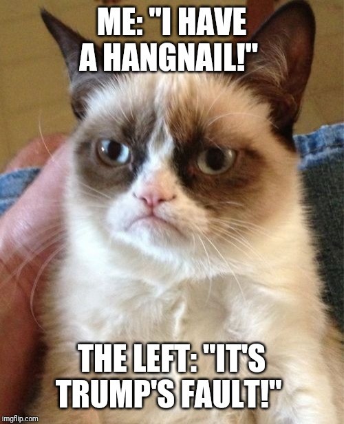 Grumpy Cat | ME: "I HAVE A HANGNAIL!"; THE LEFT: "IT'S TRUMP'S FAULT!" | image tagged in memes,grumpy cat | made w/ Imgflip meme maker