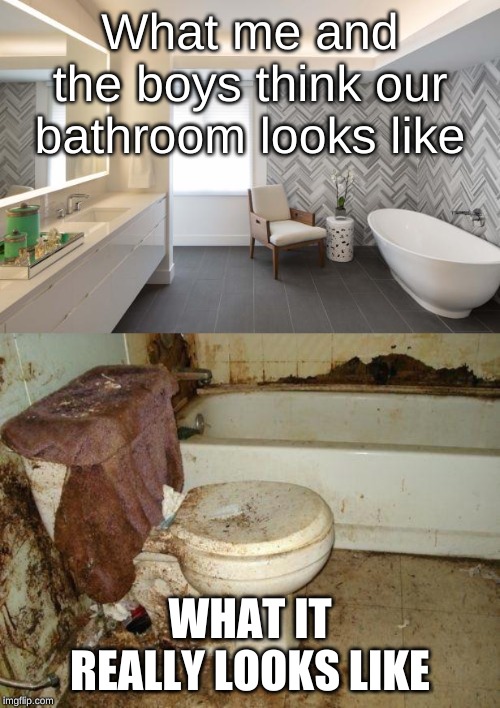 bathrooms in a nutshell | What me and the boys think our bathroom looks like; WHAT IT REALLY LOOKS LIKE | image tagged in bathrooms | made w/ Imgflip meme maker