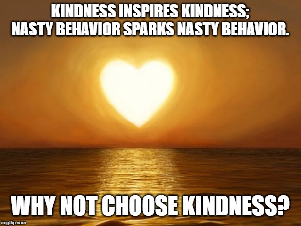 Love | KINDNESS INSPIRES KINDNESS; NASTY BEHAVIOR SPARKS NASTY BEHAVIOR. WHY NOT CHOOSE KINDNESS? | image tagged in love | made w/ Imgflip meme maker