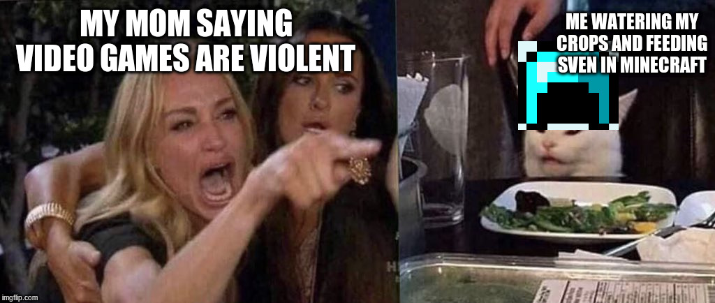 woman yelling at cat | ME WATERING MY CROPS AND FEEDING SVEN IN MINECRAFT; MY MOM SAYING 
VIDEO GAMES ARE VIOLENT | image tagged in woman yelling at cat | made w/ Imgflip meme maker