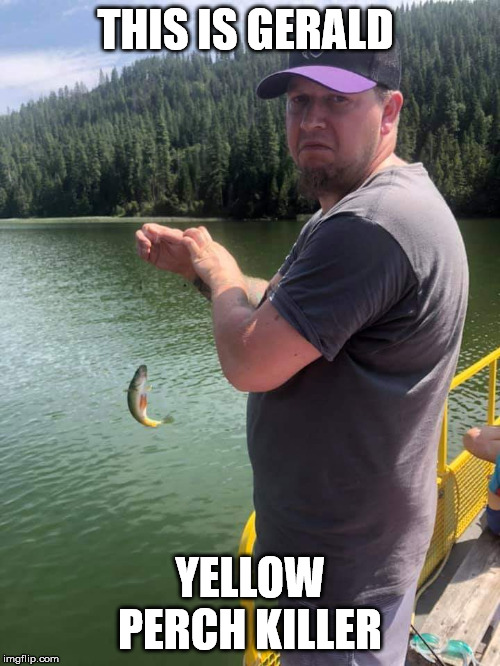 Gerald Yellow Perch | THIS IS GERALD; YELLOW PERCH KILLER | image tagged in gerald yellow perch | made w/ Imgflip meme maker