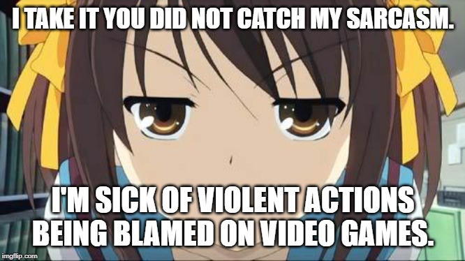 Haruhi stare | I TAKE IT YOU DID NOT CATCH MY SARCASM. I'M SICK OF VIOLENT ACTIONS BEING BLAMED ON VIDEO GAMES. | image tagged in haruhi stare | made w/ Imgflip meme maker