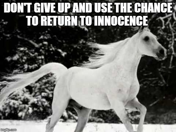 DON'T GIVE UP AND USE THE CHANCE
TO RETURN TO INNOCENCE | made w/ Imgflip meme maker