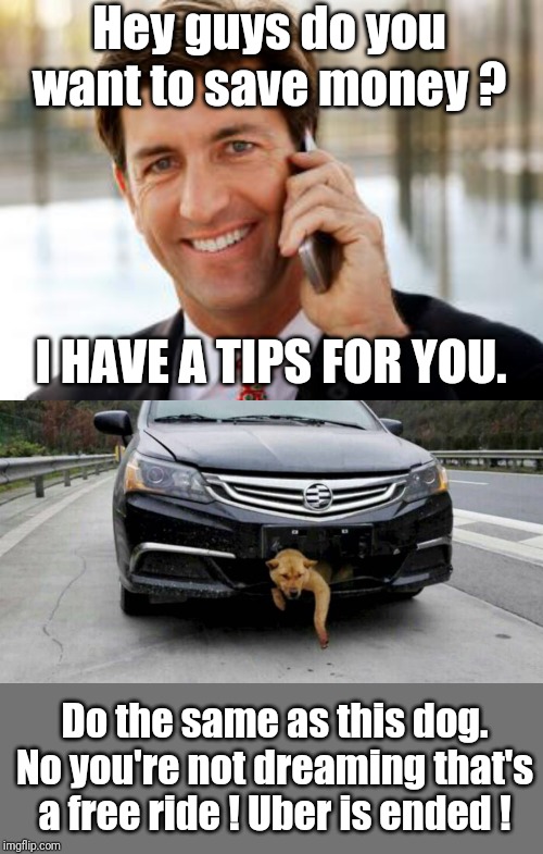 Save money | Hey guys do you want to save money ? I HAVE A TIPS FOR YOU. Do the same as this dog. No you're not dreaming that's a free ride ! Uber is ended ! | image tagged in memes,arrogant rich man,fun,dogs,car | made w/ Imgflip meme maker