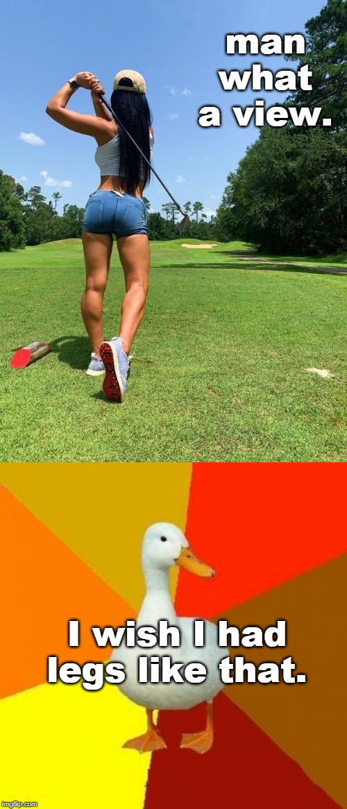 yeah sweetie, I'll play a round with ya. legsetc stream | man what a view. I wish I had legs like that. | image tagged in sexy legs,duck thoughts,quack,summertime,meme life | made w/ Imgflip meme maker