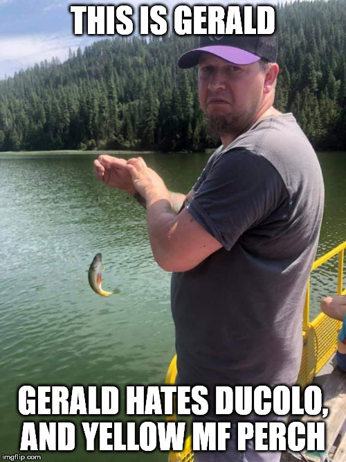THIS IS GERALD; GERALD HATES DUCOLO, AND YELLOW MF PERCH | image tagged in gerald yellow perch | made w/ Imgflip meme maker