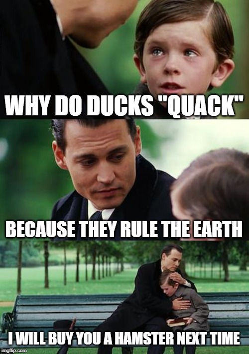 Finding Neverland Meme | WHY DO DUCKS "QUACK"; BECAUSE THEY RULE THE EARTH; I WILL BUY YOU A HAMSTER NEXT TIME | image tagged in memes,finding neverland | made w/ Imgflip meme maker