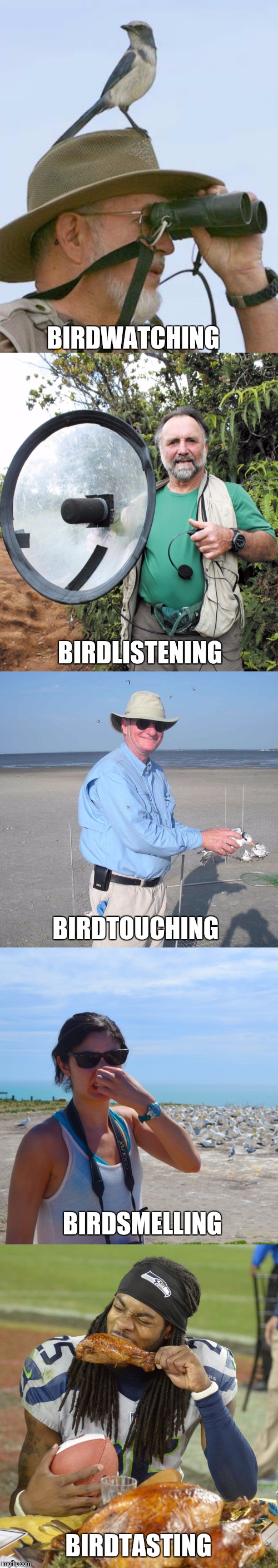 Making sense of birds | BIRDWATCHING; BIRDLISTENING; BIRDTOUCHING; BIRDSMELLING; BIRDTASTING | image tagged in birds,nonsense | made w/ Imgflip meme maker