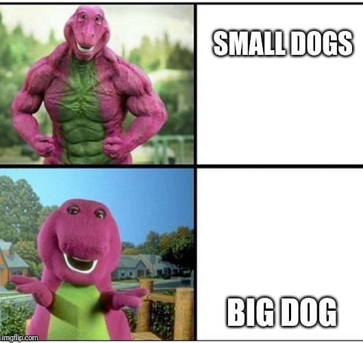 Ripped Barney | SMALL DOGS; BIG DOG | image tagged in ripped barney | made w/ Imgflip meme maker