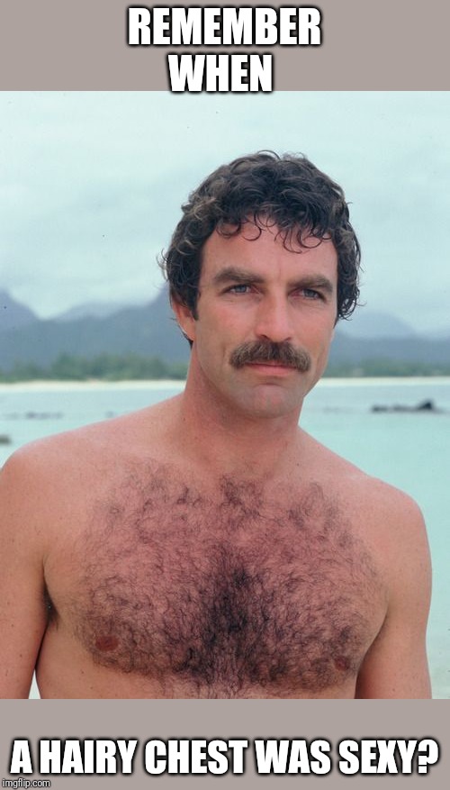 I thought only pedophiles liked bodies without hair | REMEMBER WHEN; A HAIRY CHEST WAS SEXY? | image tagged in magnum,hairy chest,selleck | made w/ Imgflip meme maker