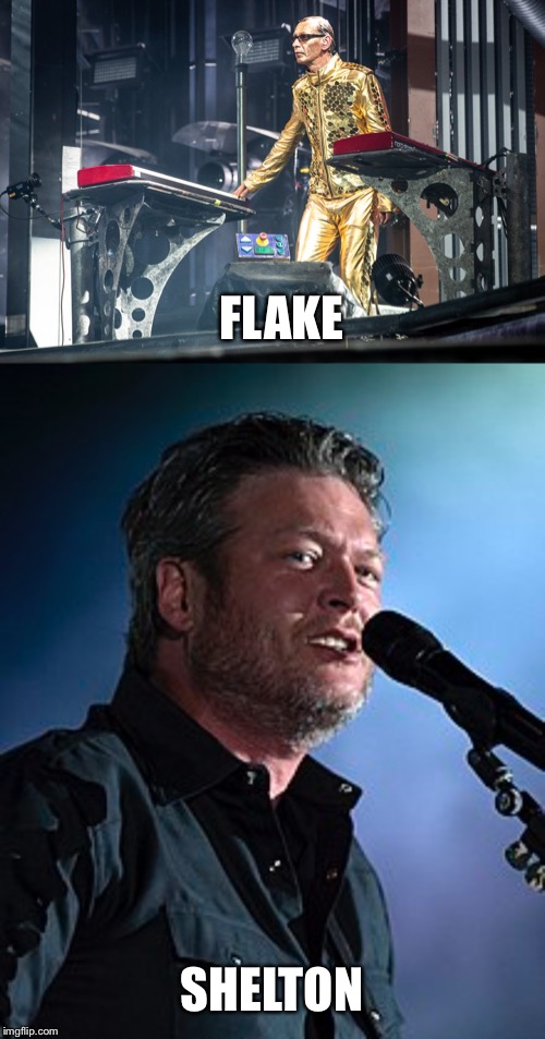 It’s funny how my mind works sometimes | FLAKE; SHELTON | image tagged in blake shelton,flake | made w/ Imgflip meme maker