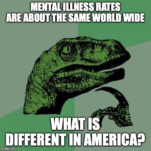 Philosoraptor | MENTAL ILLNESS RATES ARE ABOUT THE SAME WORLD WIDE; WHAT IS DIFFERENT IN AMERICA? | image tagged in memes,philosoraptor | made w/ Imgflip meme maker