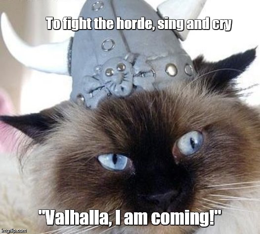Viking cat (cont.) | To fight the horde, sing and cry; "Valhalla, I am coming!" | image tagged in cats,funny cats,led zeppelin,songs,song lyrics | made w/ Imgflip meme maker
