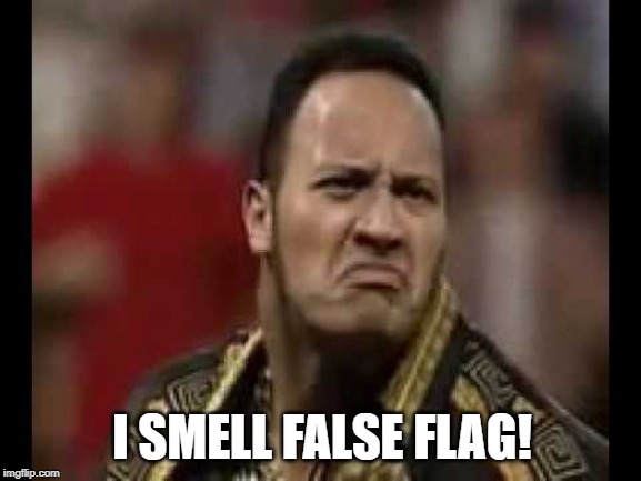 I SMELL FALSE FLAG! | image tagged in the rock | made w/ Imgflip meme maker