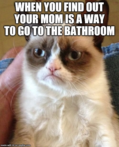 ummmmmmm | WHEN YOU FIND OUT YOUR MOM IS A WAY TO GO TO THE BATHROOM | image tagged in memes,grumpy cat | made w/ Imgflip meme maker