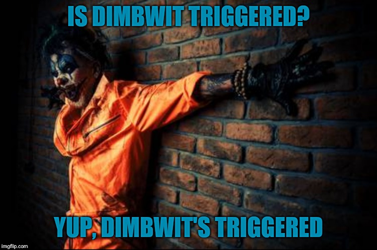 w | IS DIMBWIT TRIGGERED? YUP, DIMBWIT'S TRIGGERED | image tagged in evil cl s/sh | made w/ Imgflip meme maker