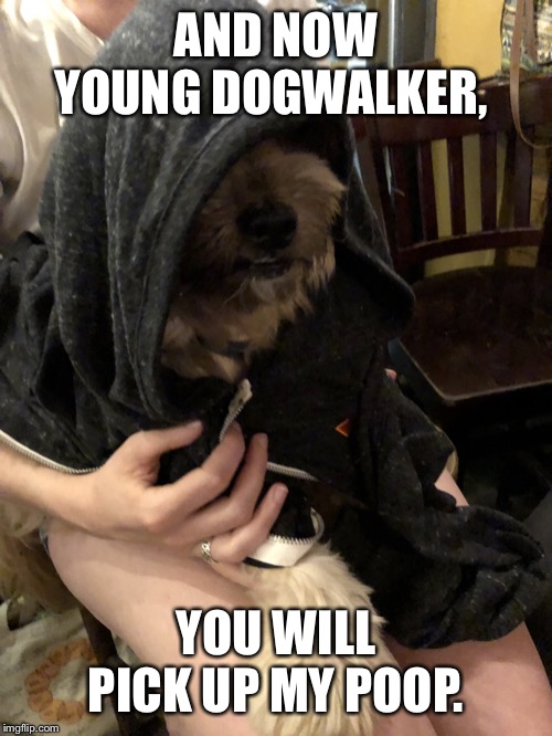 Emperor Palpuptine | AND NOW YOUNG DOGWALKER, YOU WILL PICK UP MY POOP. | image tagged in emperor palpuptine | made w/ Imgflip meme maker