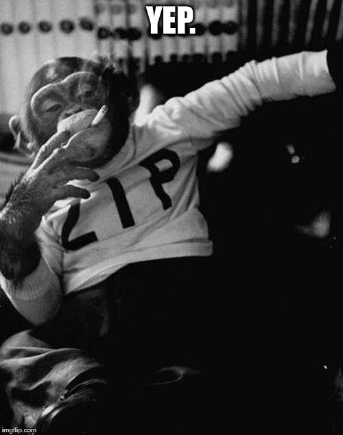 smoking monkey  | YEP. | image tagged in smoking monkey | made w/ Imgflip meme maker