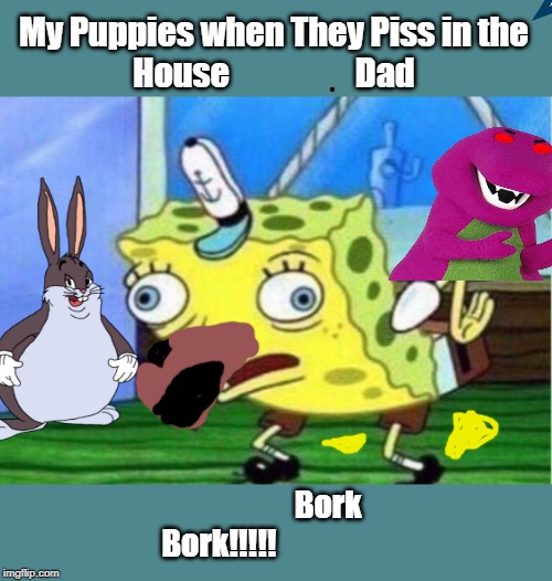 Mocking Spongebob | My Puppies when They Piss in the
House                   Dad; Bork Bork!!!!! | image tagged in memes,mocking spongebob | made w/ Imgflip meme maker