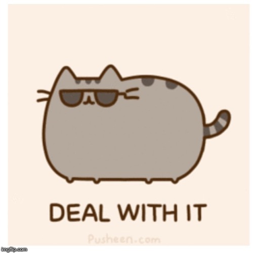 Pusheen Deal With It | image tagged in pusheen deal with it | made w/ Imgflip meme maker